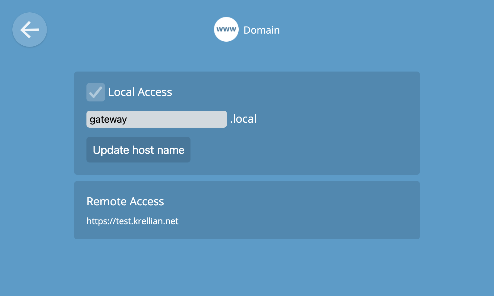 Screenshot showing the domain settings view, with a text box and checkbox to configure the local domain, and information about remote access